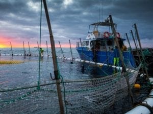 fishing-practices-2