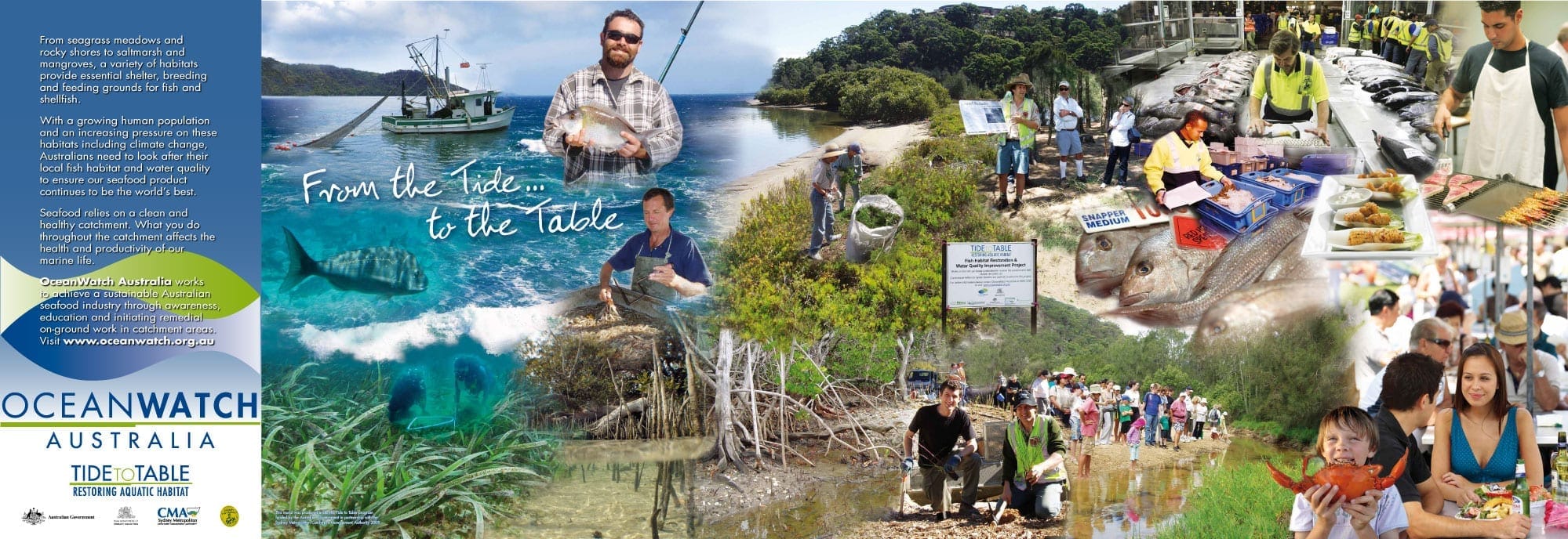 SO2482-OCEANWATCH-MURAL-LR SO2482-OCEANWATCH-MURAL-LR