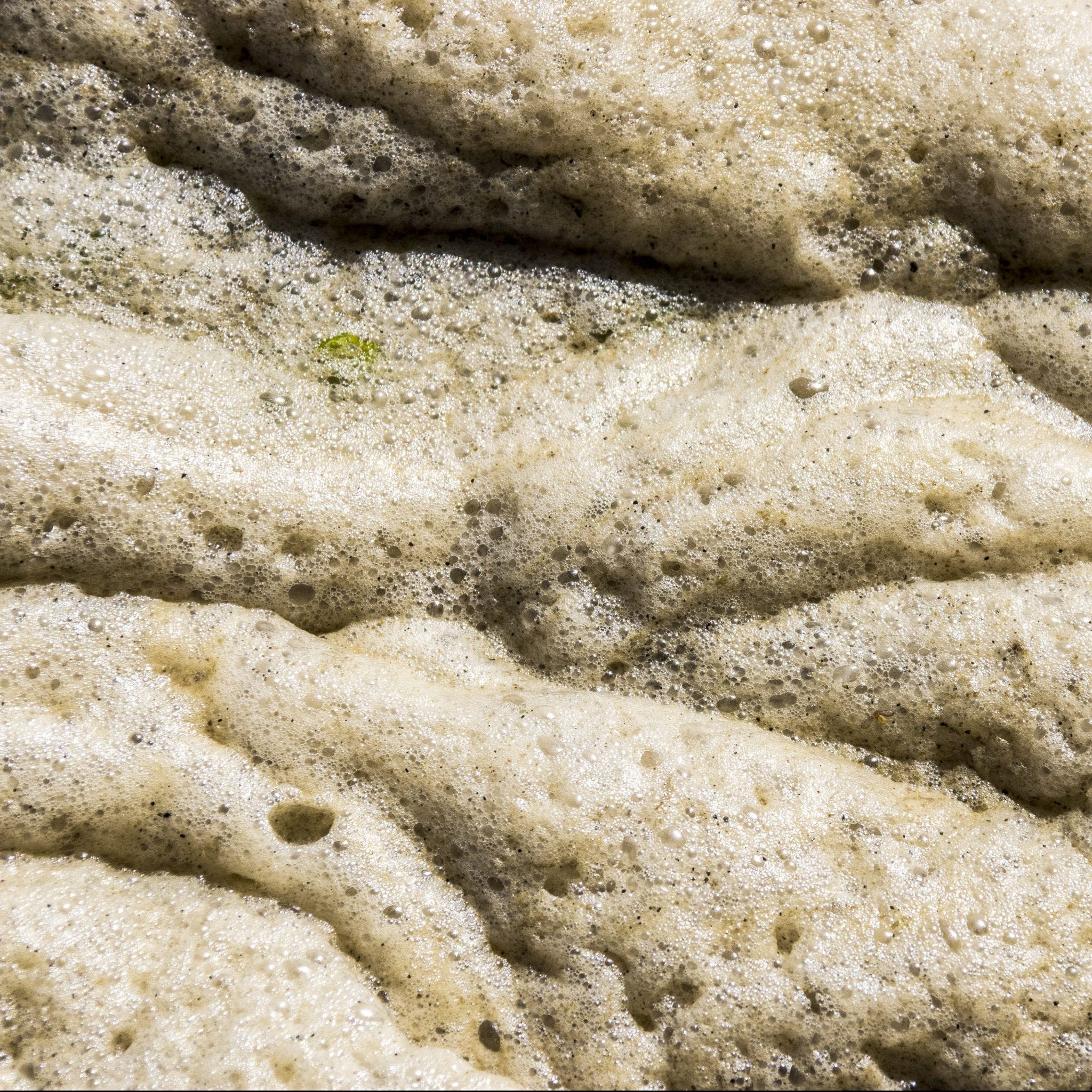 The Paleseafoam Leak: A Wake-Up Call