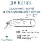 Reducing Bycatch | Oceanwatch Australia