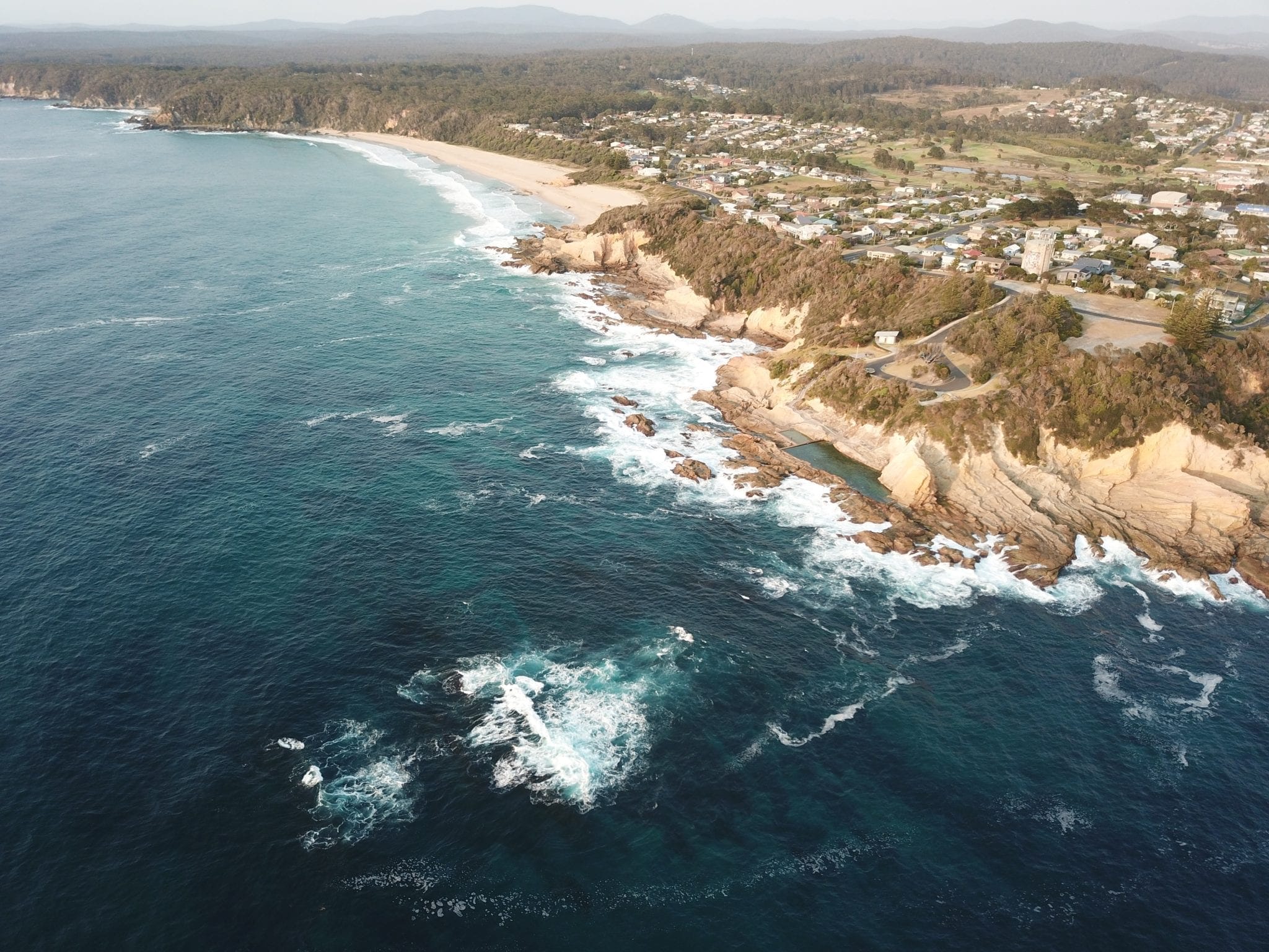 Urchin Barrens Oceanwatch Australia