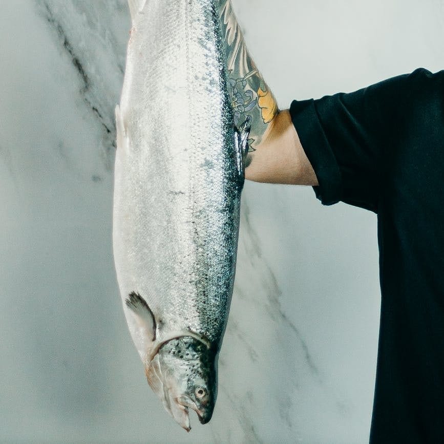 Storing Seafood Oceanwatch Australia