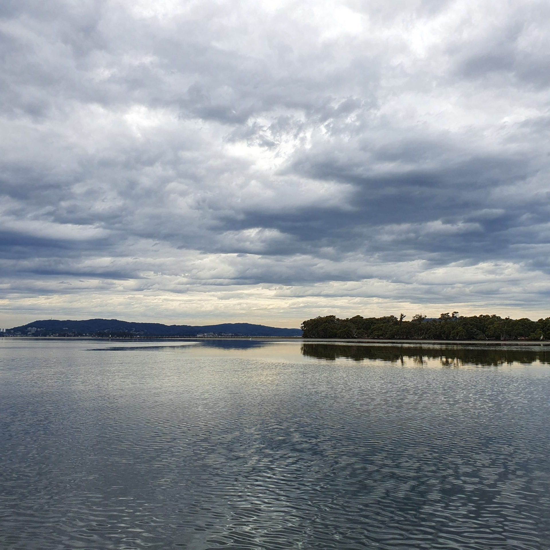 brisbane water maco survey