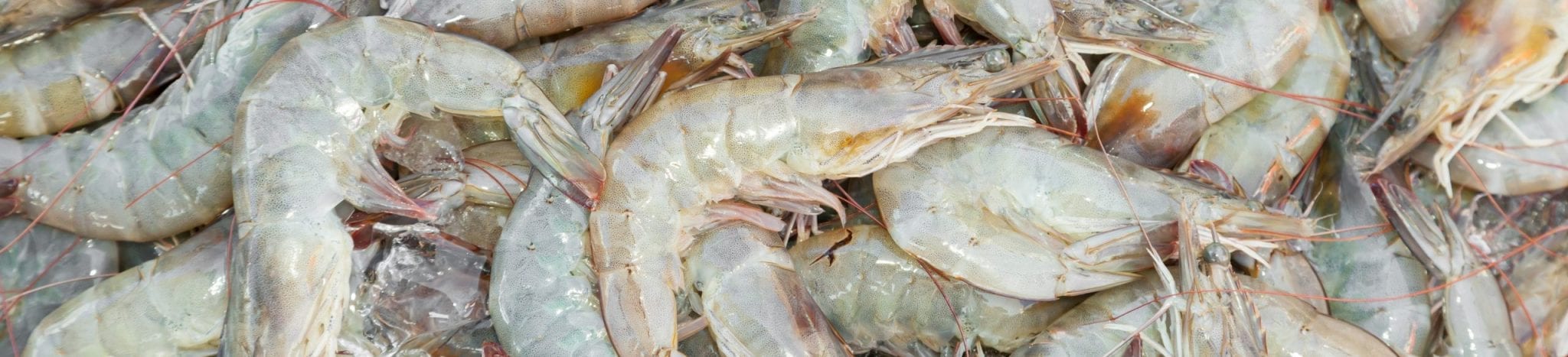 Close,Up,Of,Banana,Shrimp(penaeus,Merguiensis),In,Thailand,Street,Market