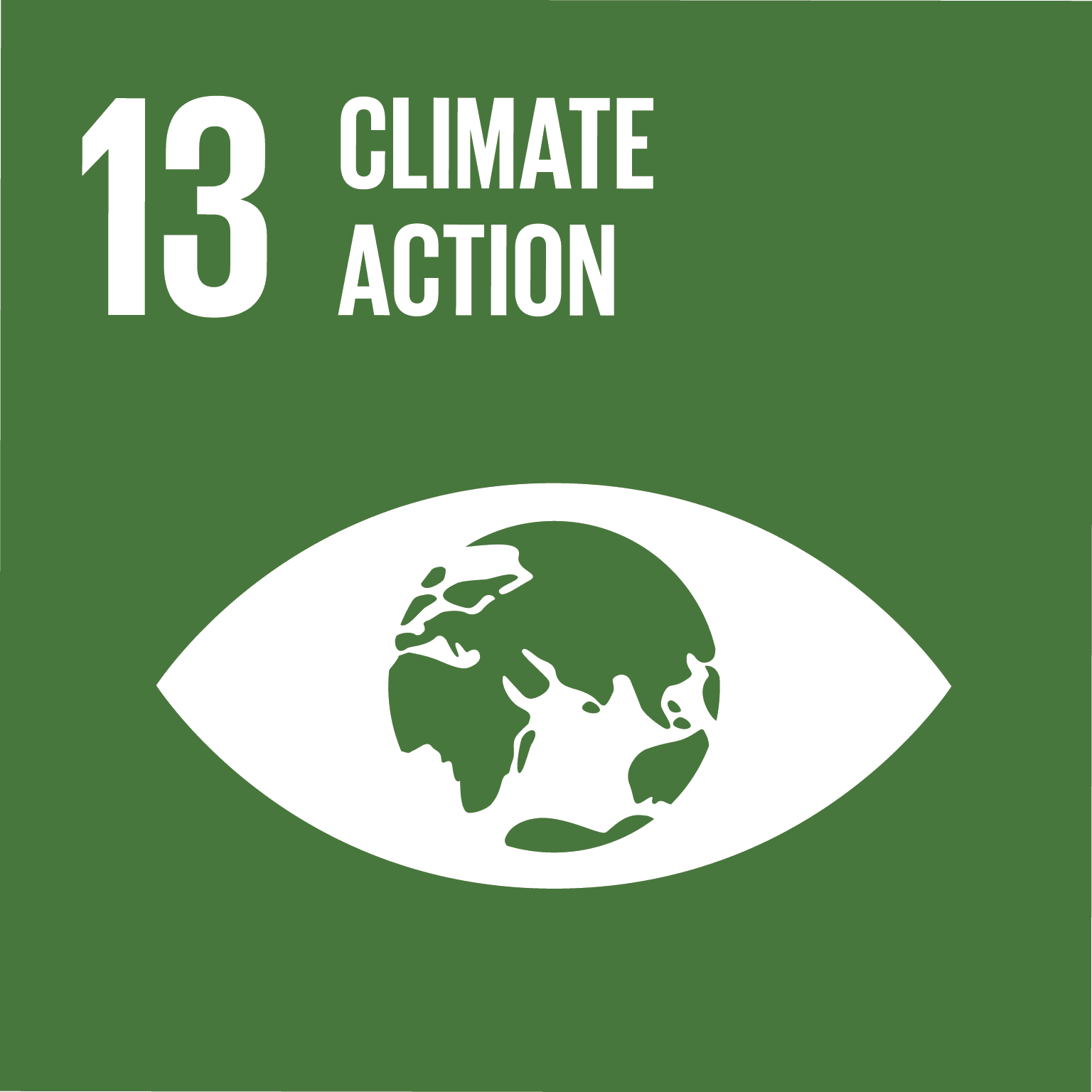 E_SDG goals_icons-individual-rgb-13 E_SDG goals_icons-individual-rgb-13