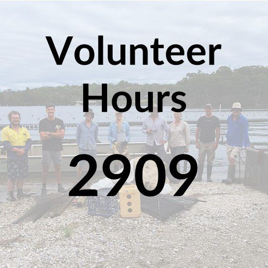 Volunteer hours