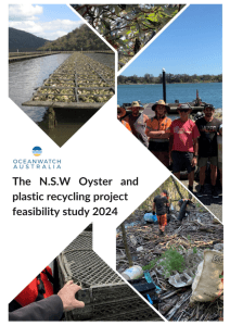 NSW Plastic Recycling Project 2024