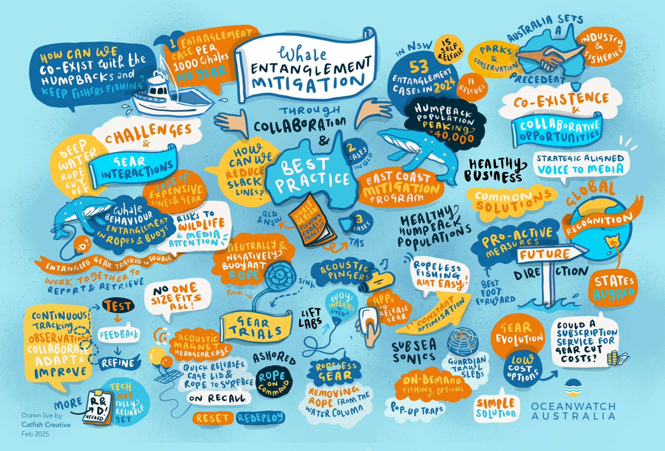Whale Workshop Graphic Whale Workshop Graphic